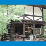 コットン村