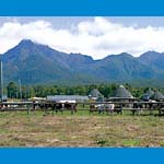八ヶ岳中央農場実践大学校