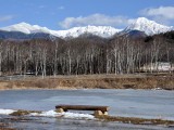 まるやち湖からの八ヶ岳