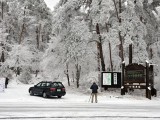 八ヶ岳美術館でシャッターを押す旅行者