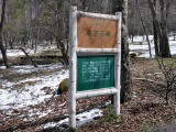 八ヶ岳自然文化園の湿生花園