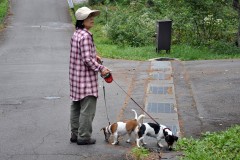 アルピコ別荘地にて素材を探す