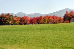 八ヶ岳の紅葉は、ここから始まります