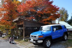 やっと納車になりました