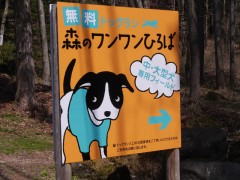 大型、小型犬別々のドッグラン