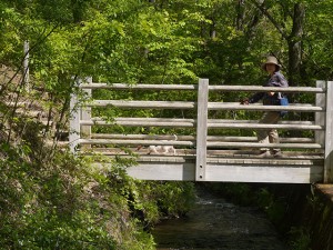 川を渡って山に入ります