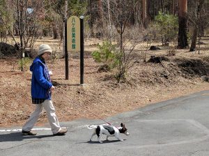 久しぶりの美術館