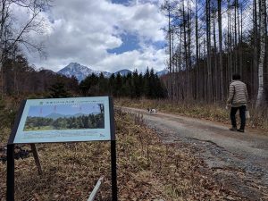 丸山の別荘地をめざして