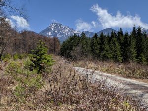 阿弥陀岳を望む