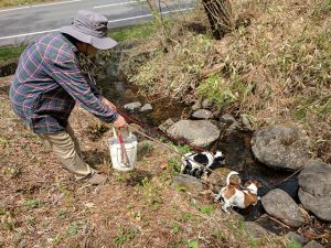 美術館のお水をいただきます