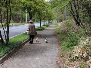 新緑を肌で感じます