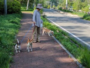 親水公園を歩く