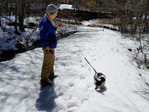 小道に入ると雪