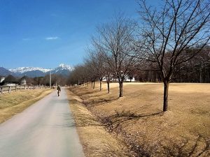 農場の桜はサッパリ