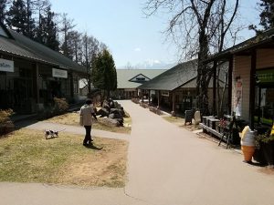 アウトレットは初夏の感じ