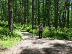 登山開始。二俣を左へ