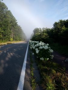 少し虹が見えています