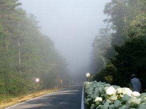 黒ずんだ霧に遭遇